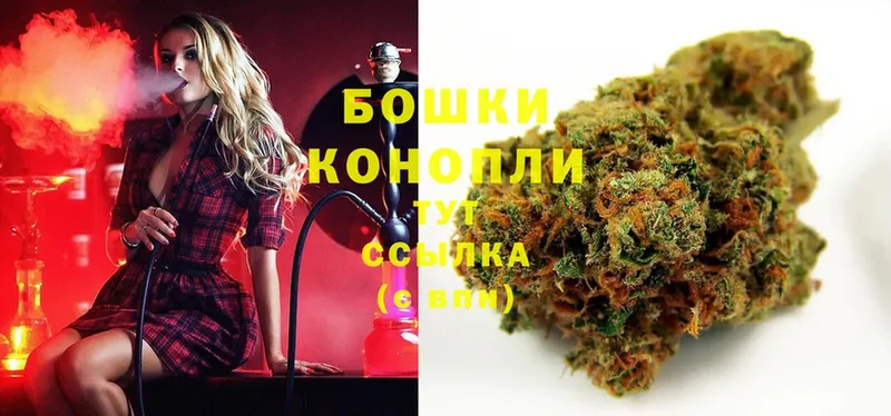 Бошки марихуана SATIVA & INDICA  маркетплейс Telegram  Ветлуга 